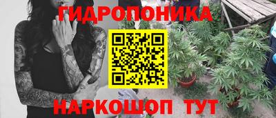 стафф Гусев