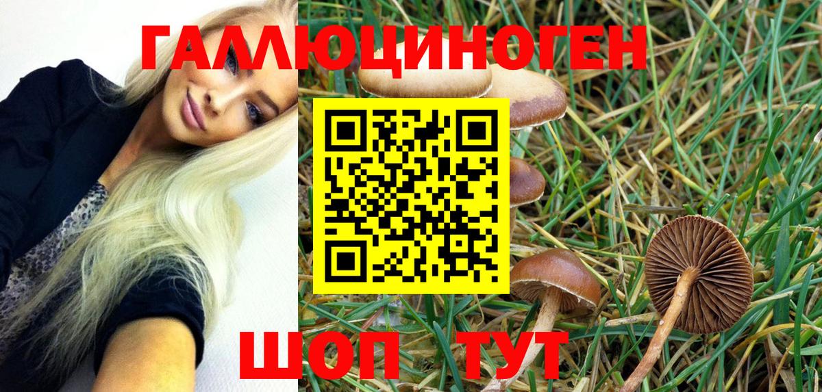Псилоцибиновые грибы Psilocybe  Вход с VPN  Камень-на-Оби  Галлюциногенные грибы Magic Shrooms 