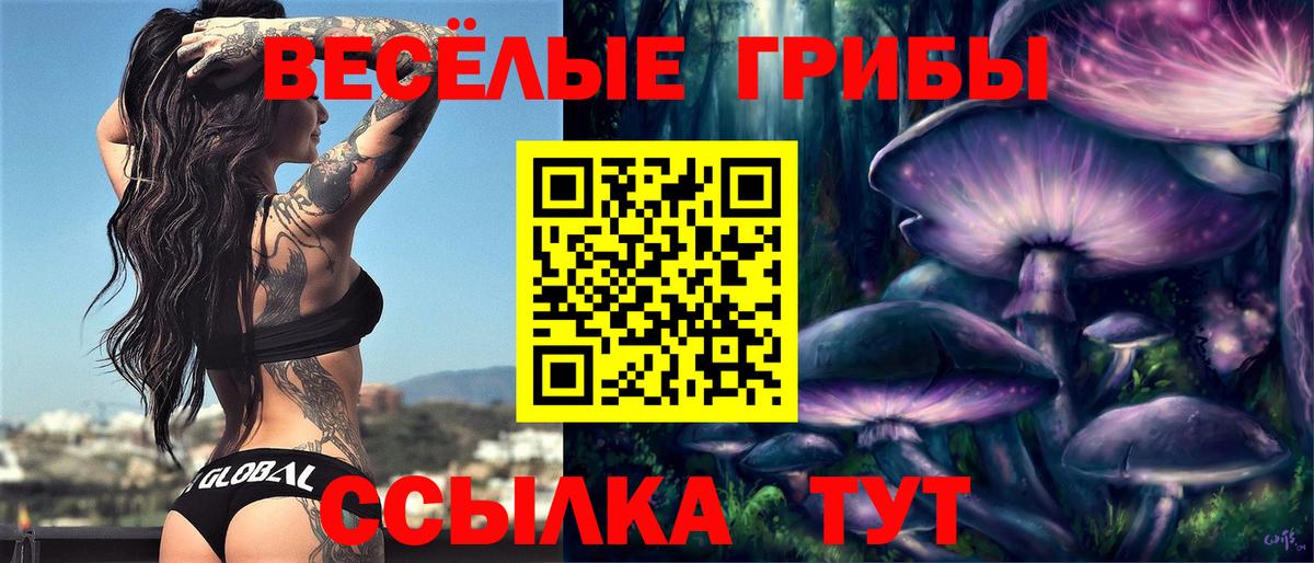Галлюциногенные грибы GOLDEN TEACHER Камень-на-Оби